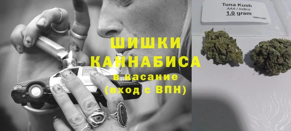 гашик Зерноград