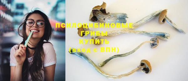 прущие крисы Зеленокумск