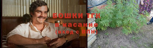 прущие крисы Зеленокумск